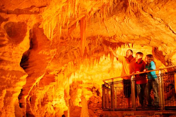 Get up close with glowworms, learn about cave formations and hear about cave myths, superstitions and ghosts.